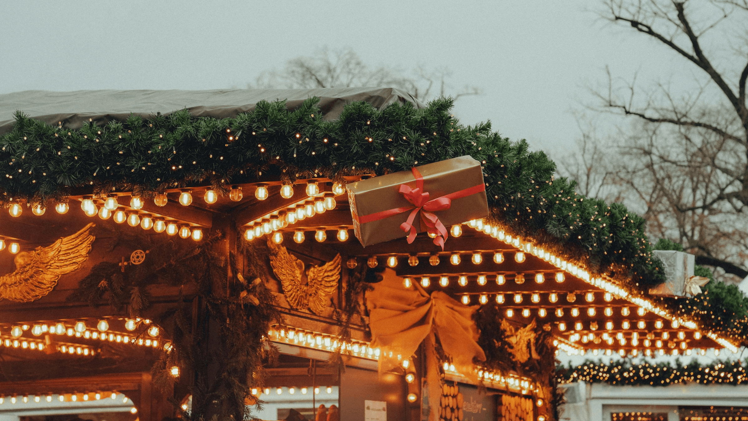 Premier Holiday Lighting's image