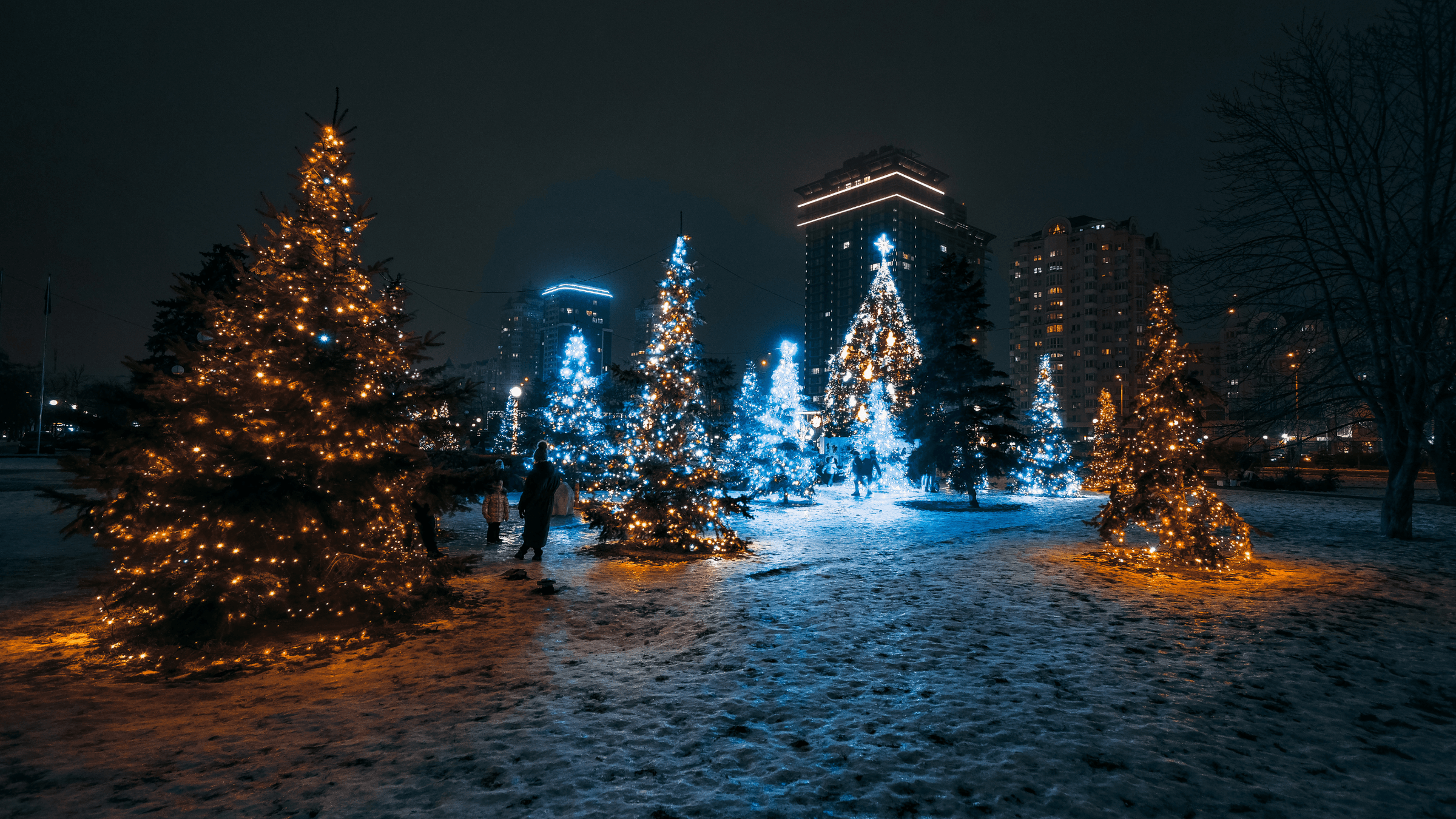 Premier Holiday Lighting's image