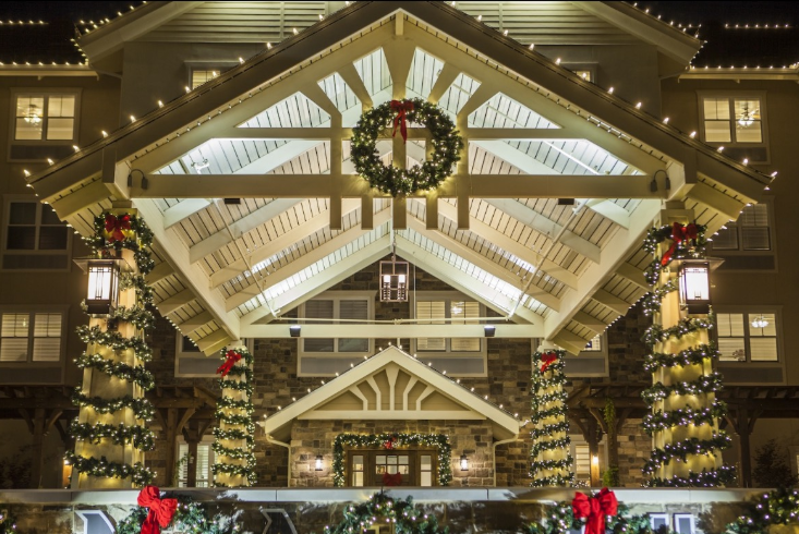 Premier Holiday Lighting's image