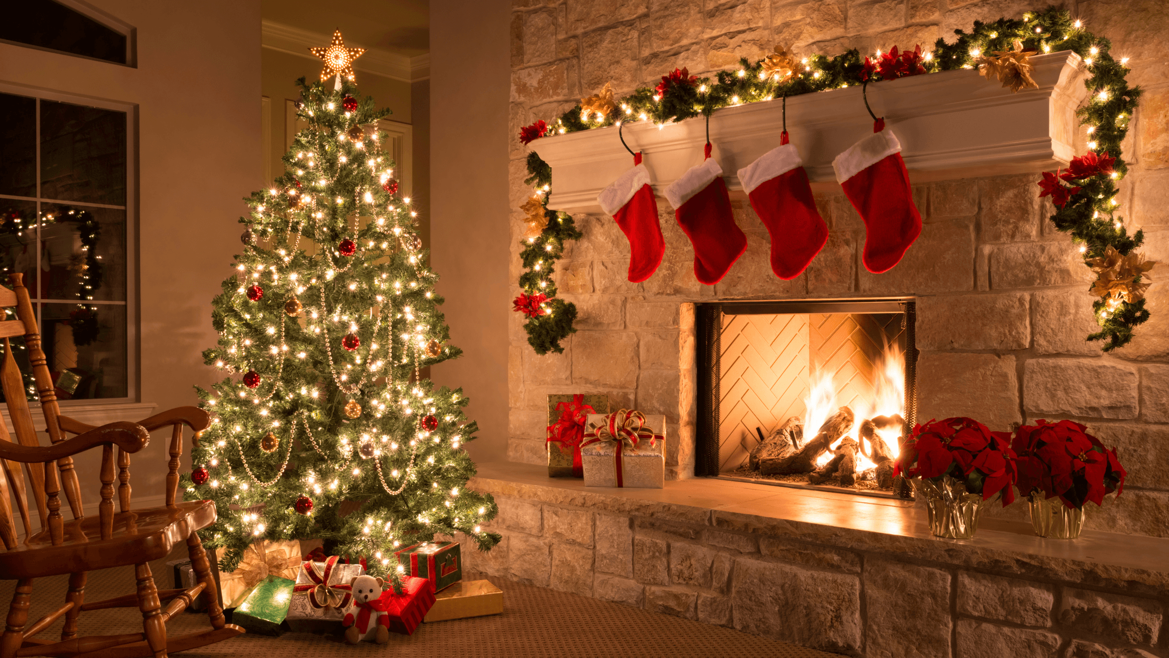 Premier Holiday Lighting's image