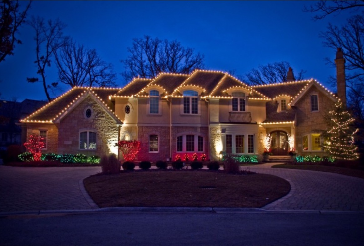 Premier Holiday Lighting's image