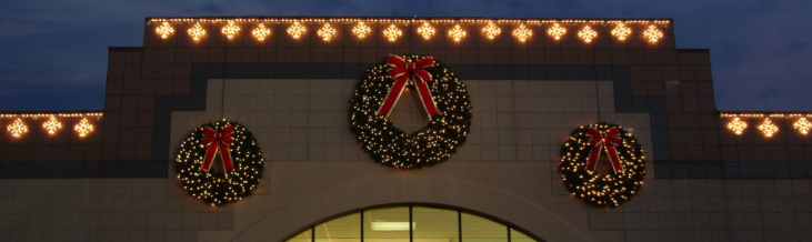 Premier Holiday Lighting's image
