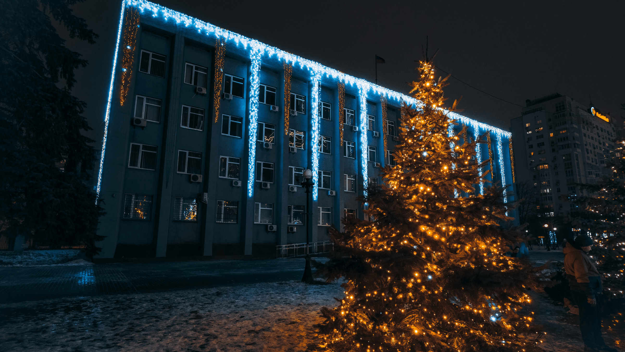 Premier Holiday Lighting's image