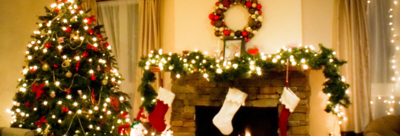 Premier Holiday Lighting's image