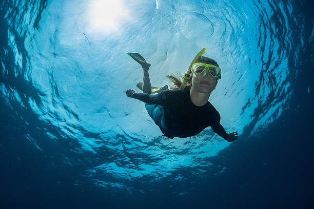 Trident Freediving's image