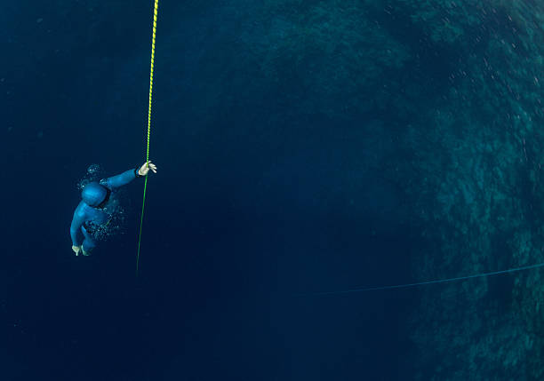 Trident Freediving's image