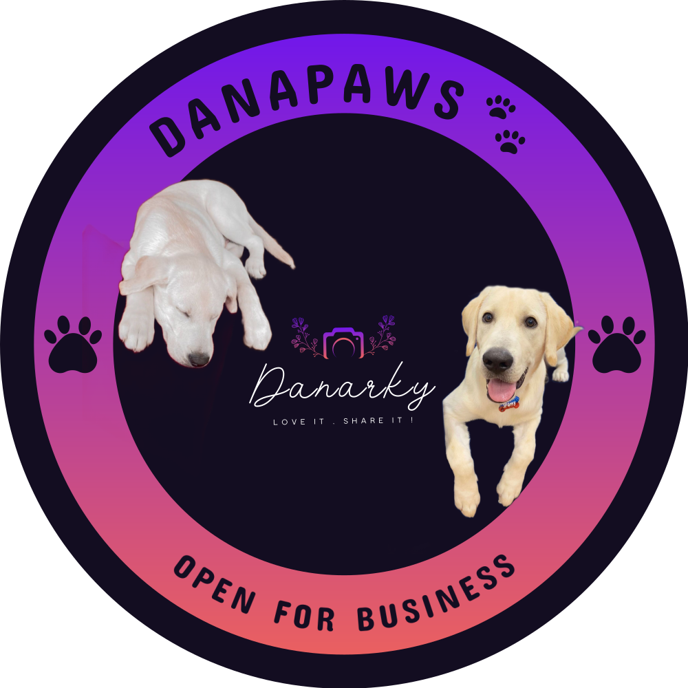 Danarky's image