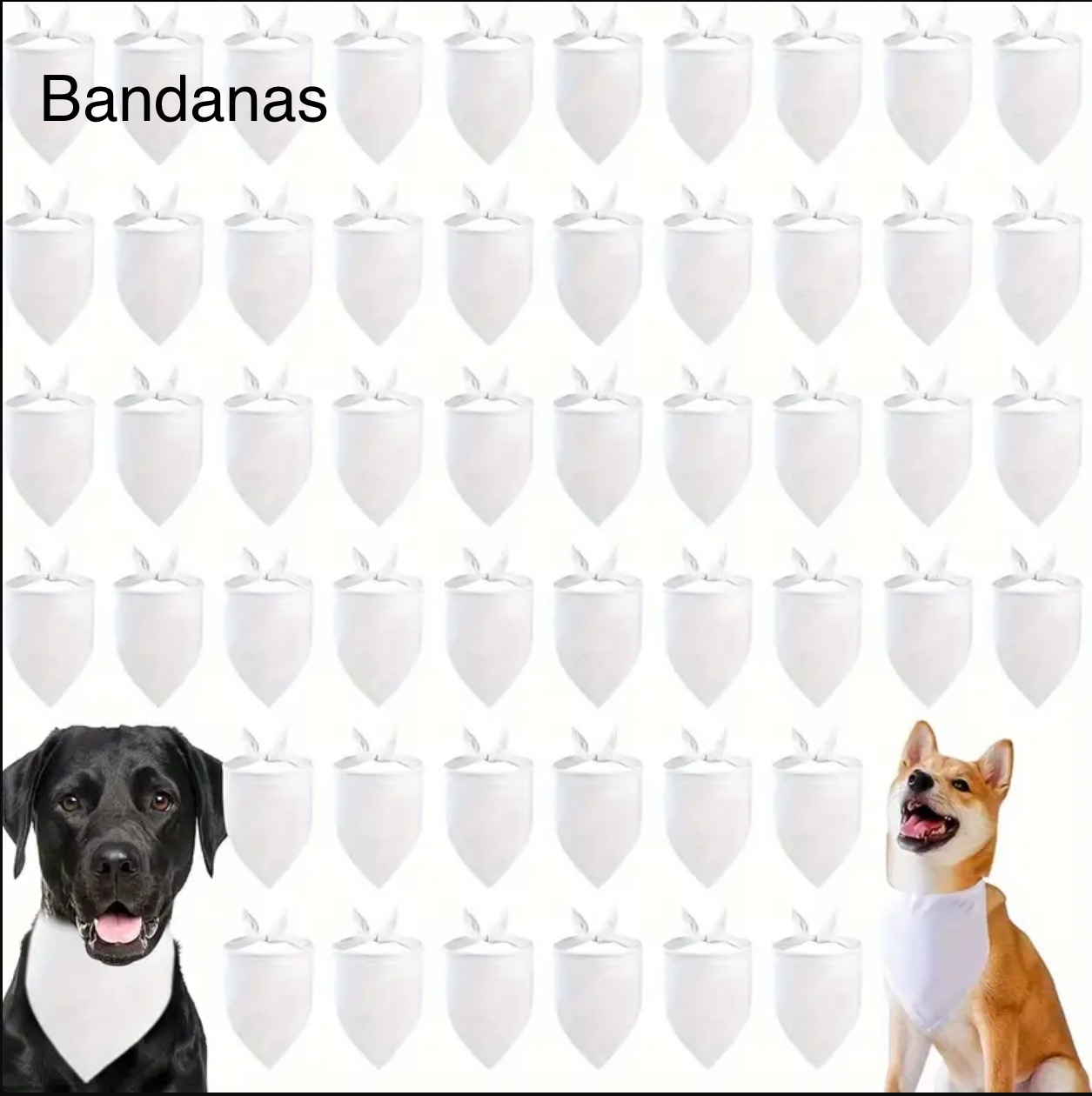 Bandanas 