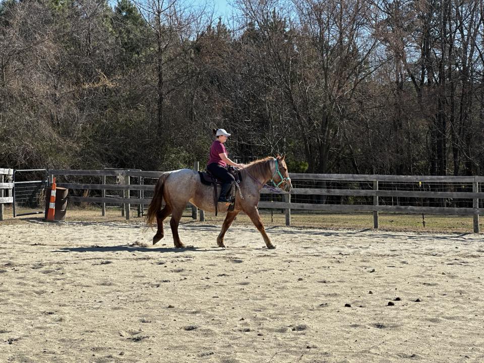 Riding in Arena