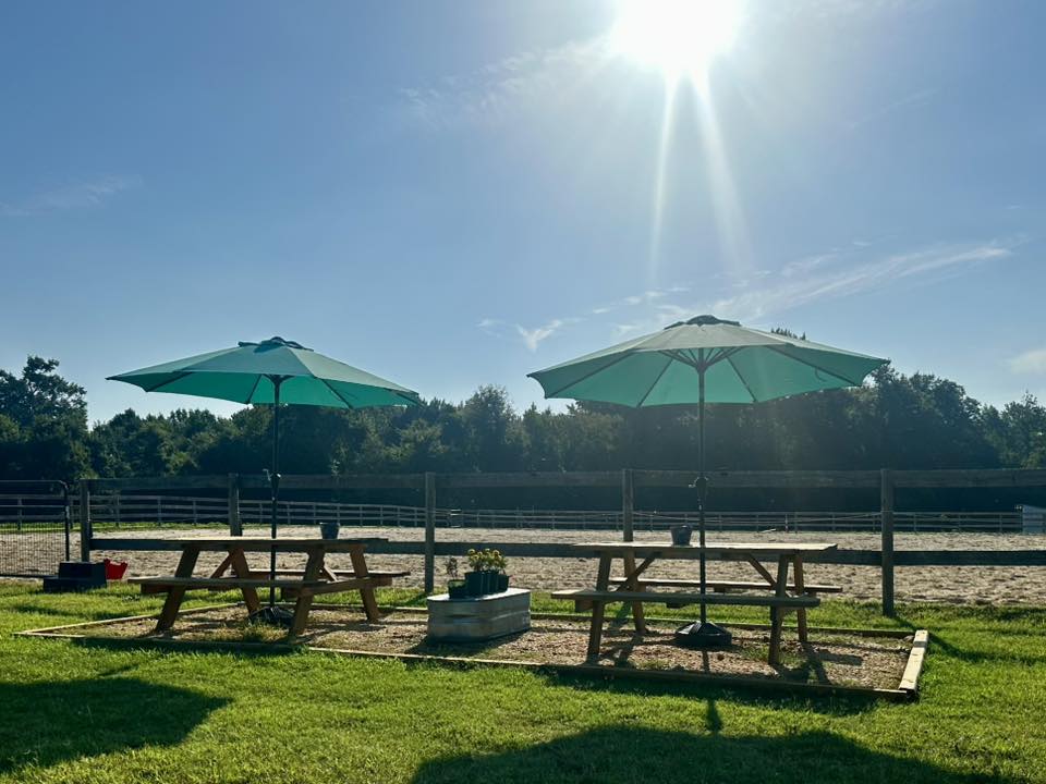 Picnic Tables with umbrellas. Perfect view of the arena and tie posts