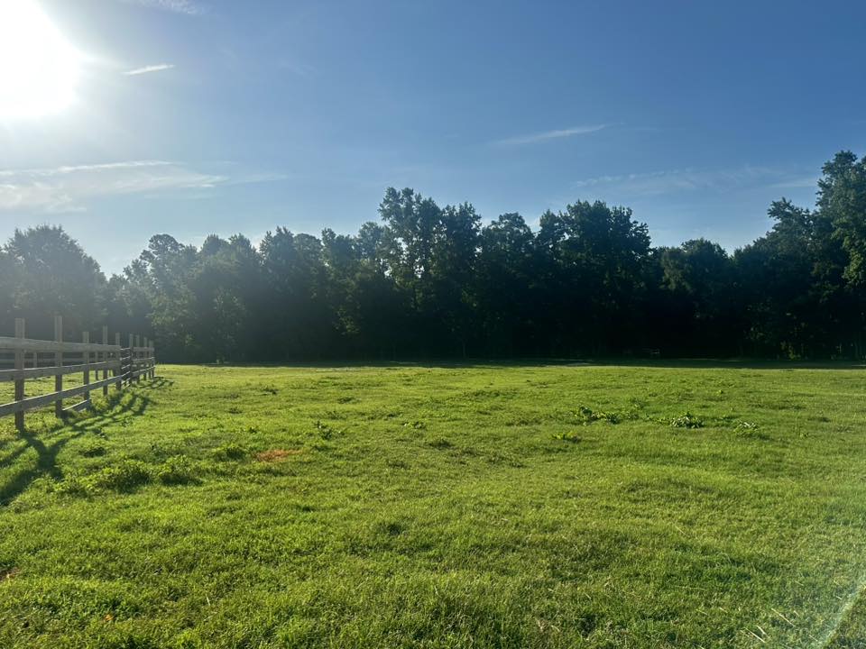 Main Pasture with access to six stalls