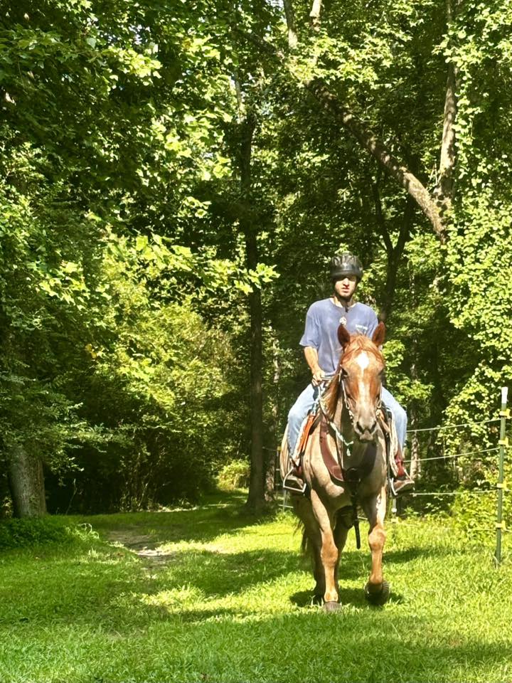 Around the Property