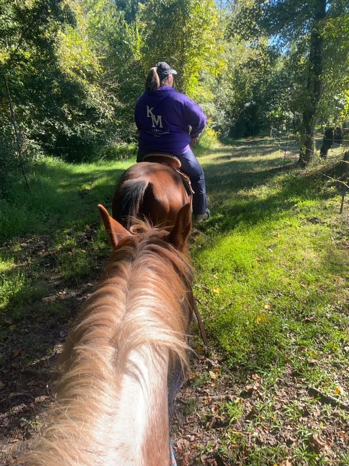Around the Property