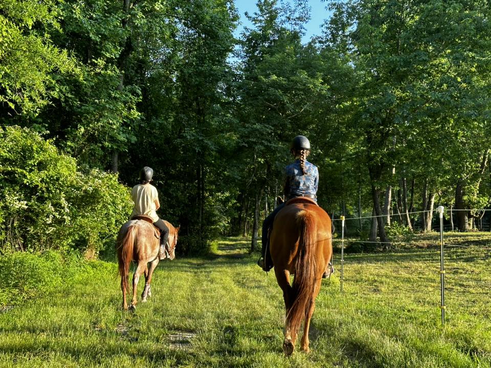 Around the Property