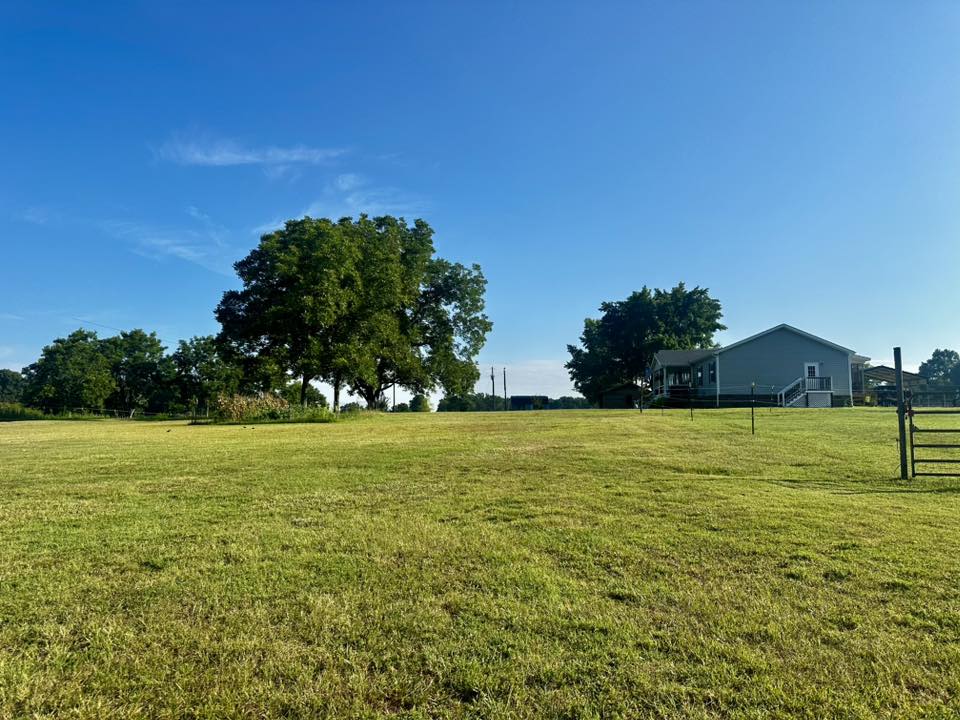 Around the Property