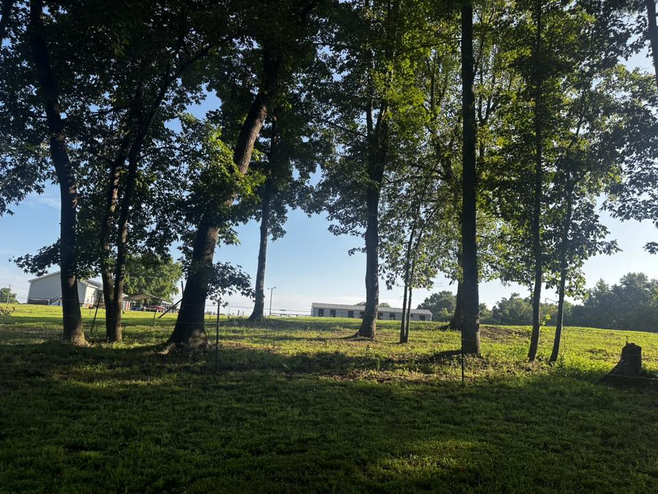 Front Pasture with access to two stalls