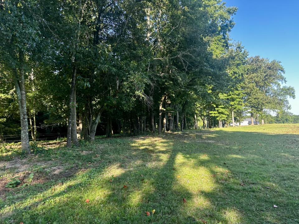 Main Pasture with access to six stalls