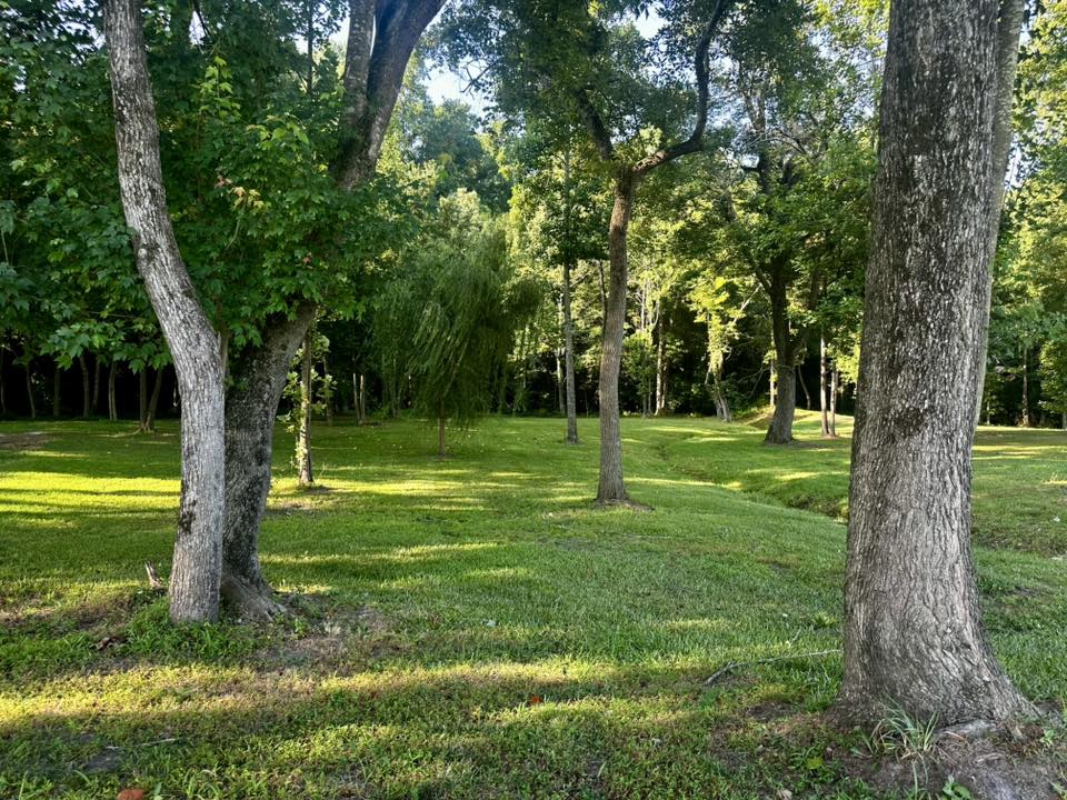 Around the Property