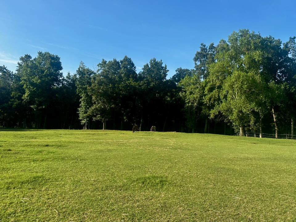 Main Pasture with access to six stalls