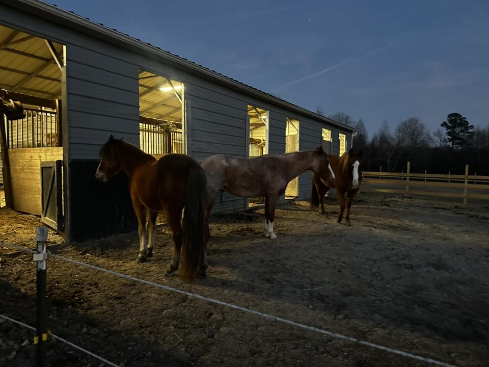 Main Pasture with access to six stalls