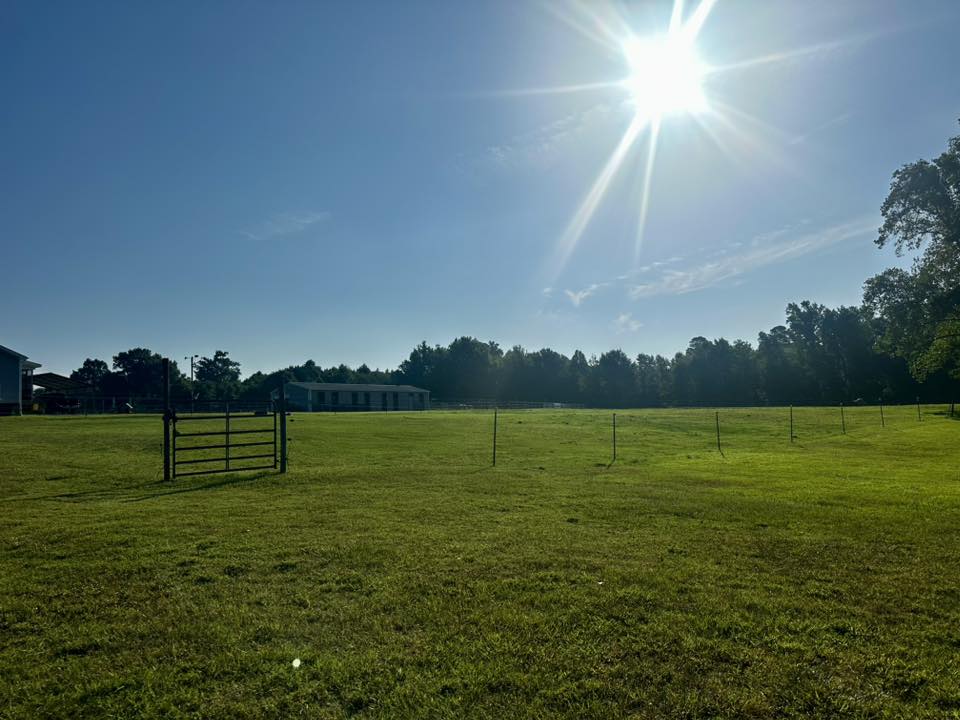 Front Pasture with access to two stalls