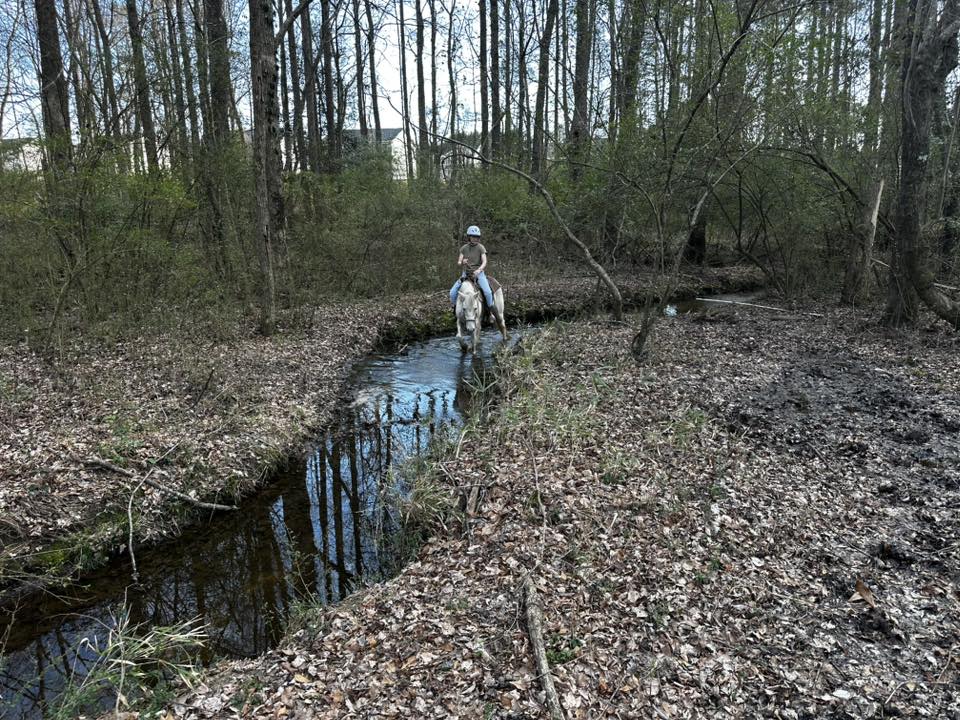 Creek Access