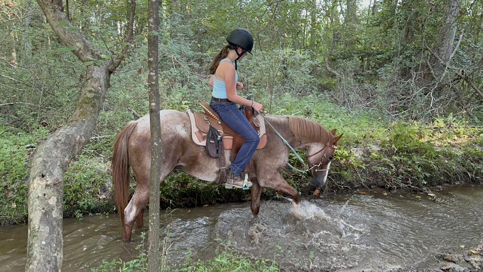 Creek Access