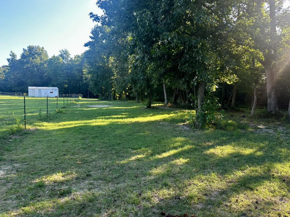 Back Pasture with access to a large 3-sided shelter and a small open shelter with fans 