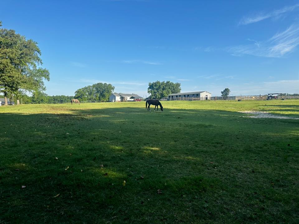 Main Pasture with access to six stalls