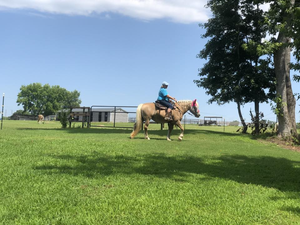 Around the Property