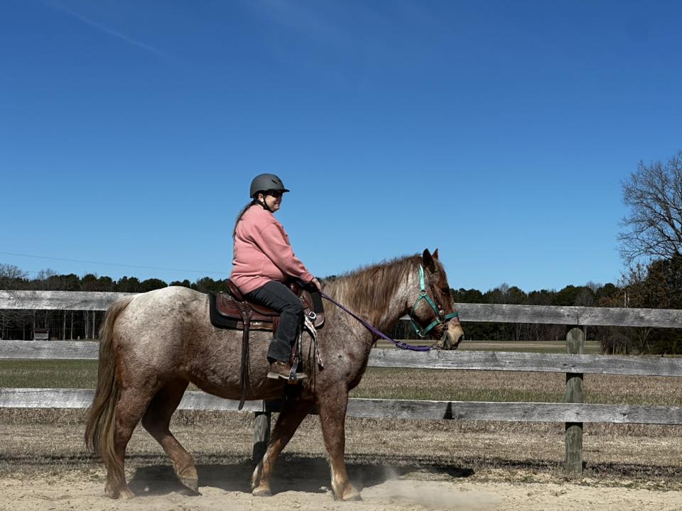 Riding in Arena