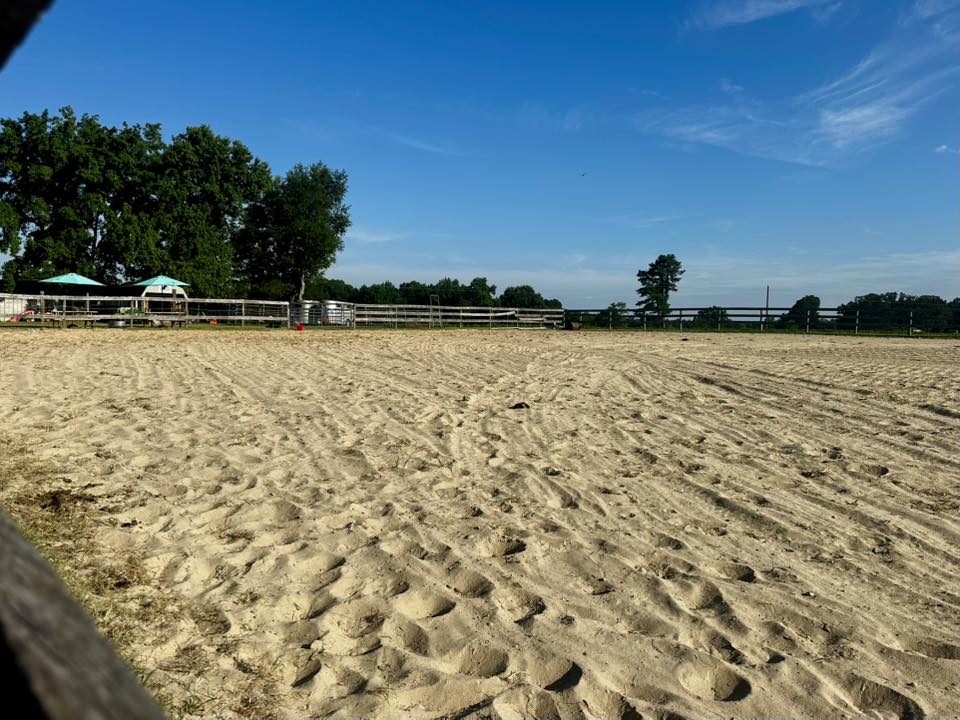 Front half of Arena