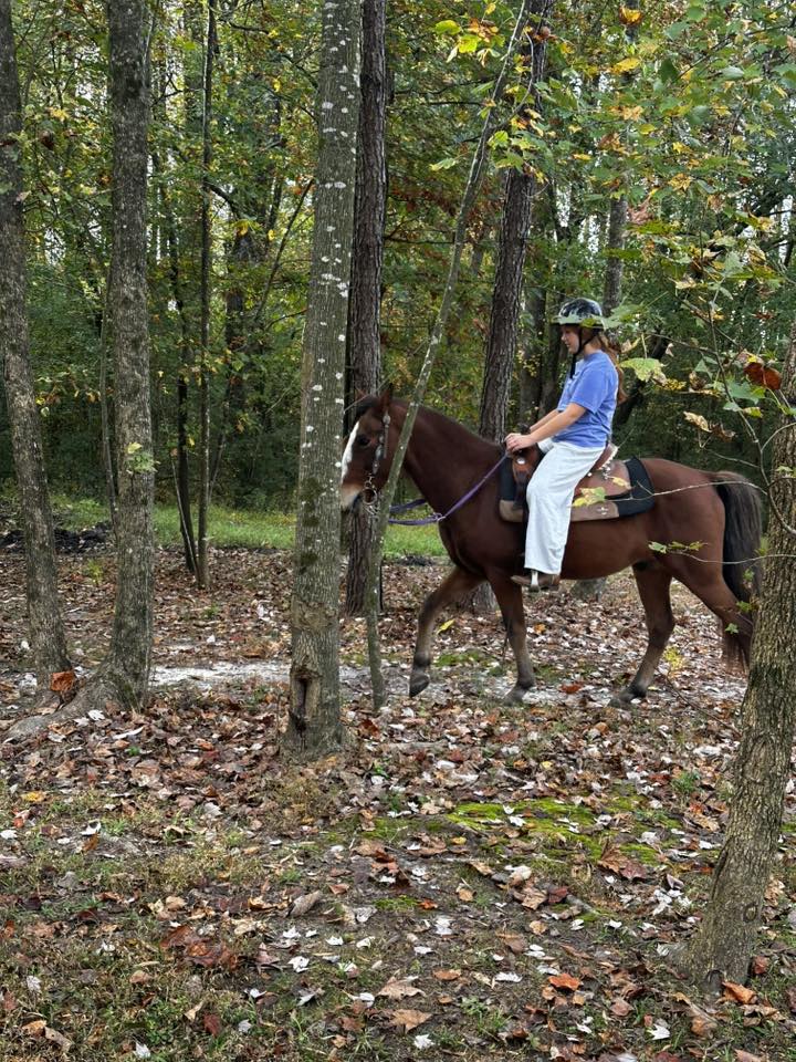 Around the Property