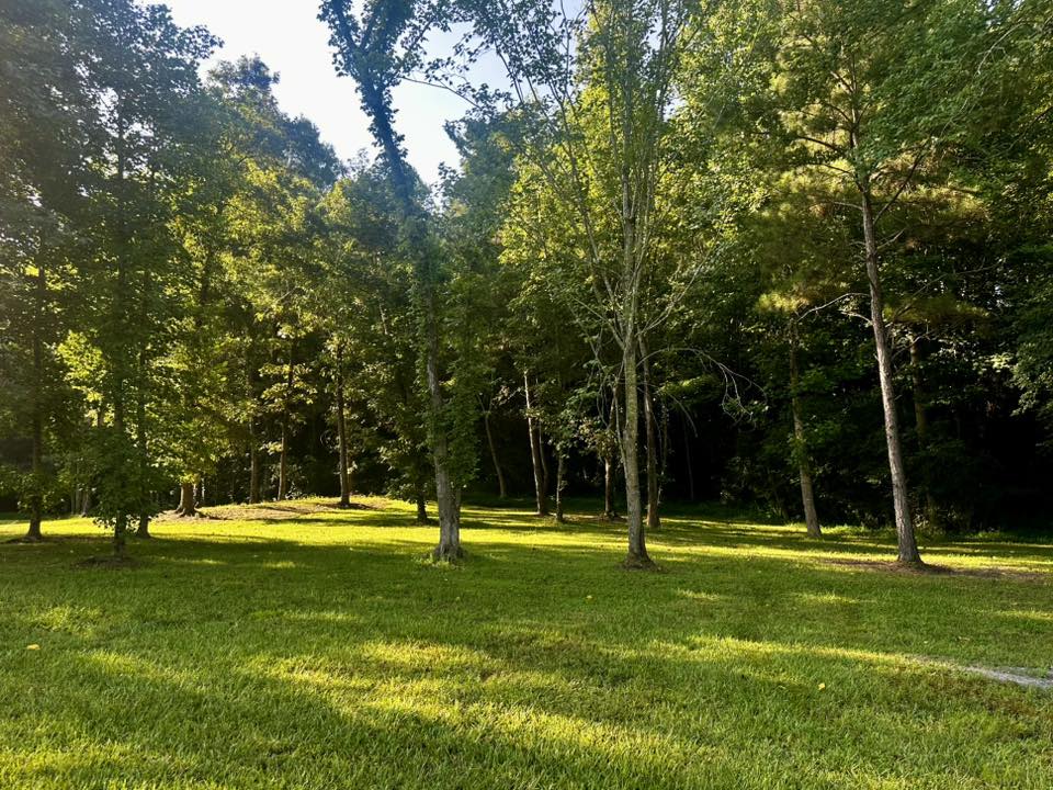 Around the Property