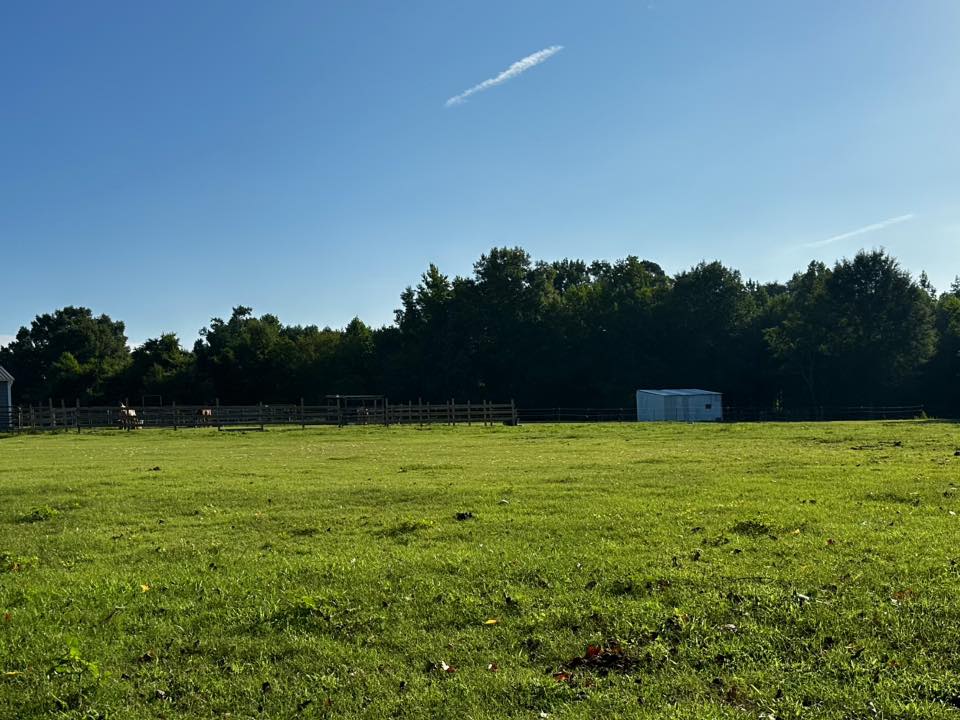 Main Pasture with access to six stalls