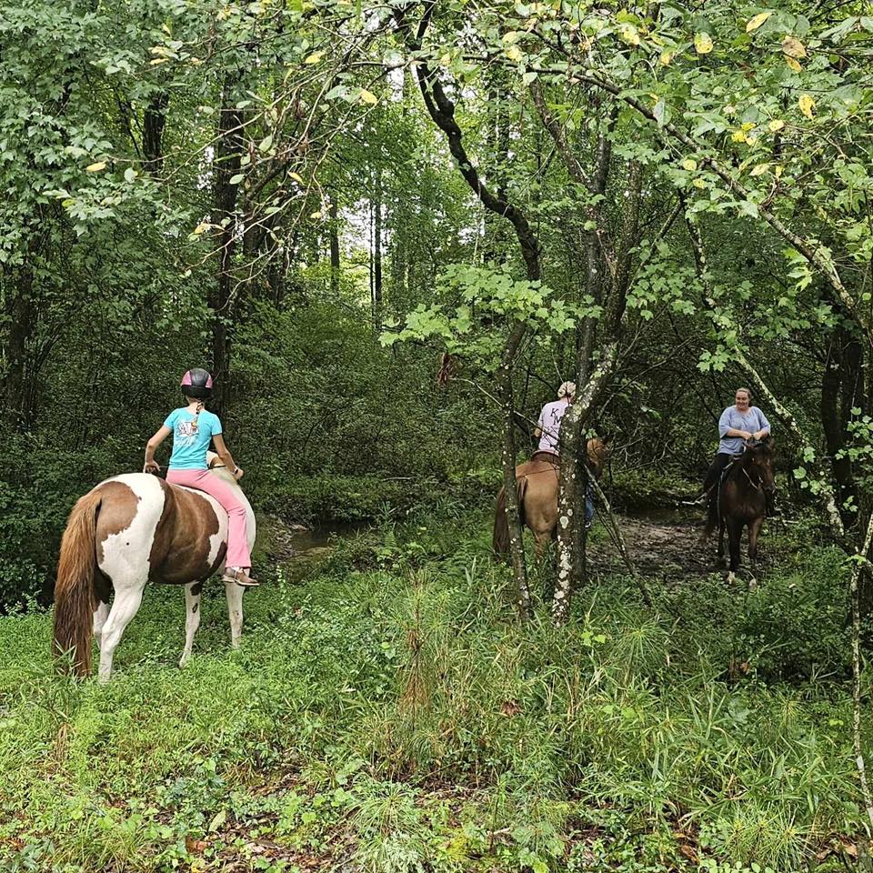 Creek Access