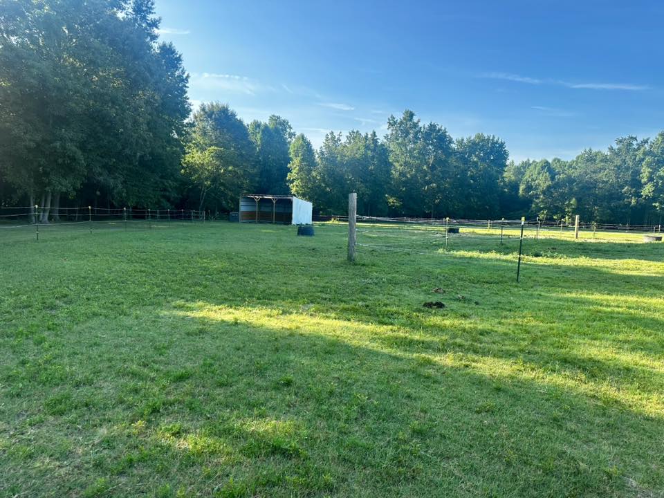 Back Pasture with access to a large 3-sided shelter and a small open shelter with fans 