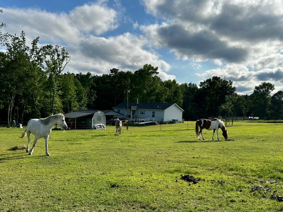 Front Pasture with access to two stalls