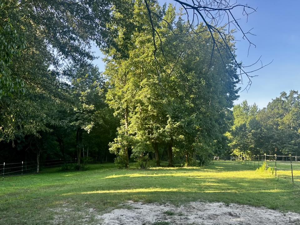 Back Pasture with access to a large 3-sided shelter and a small open shelter with fans 