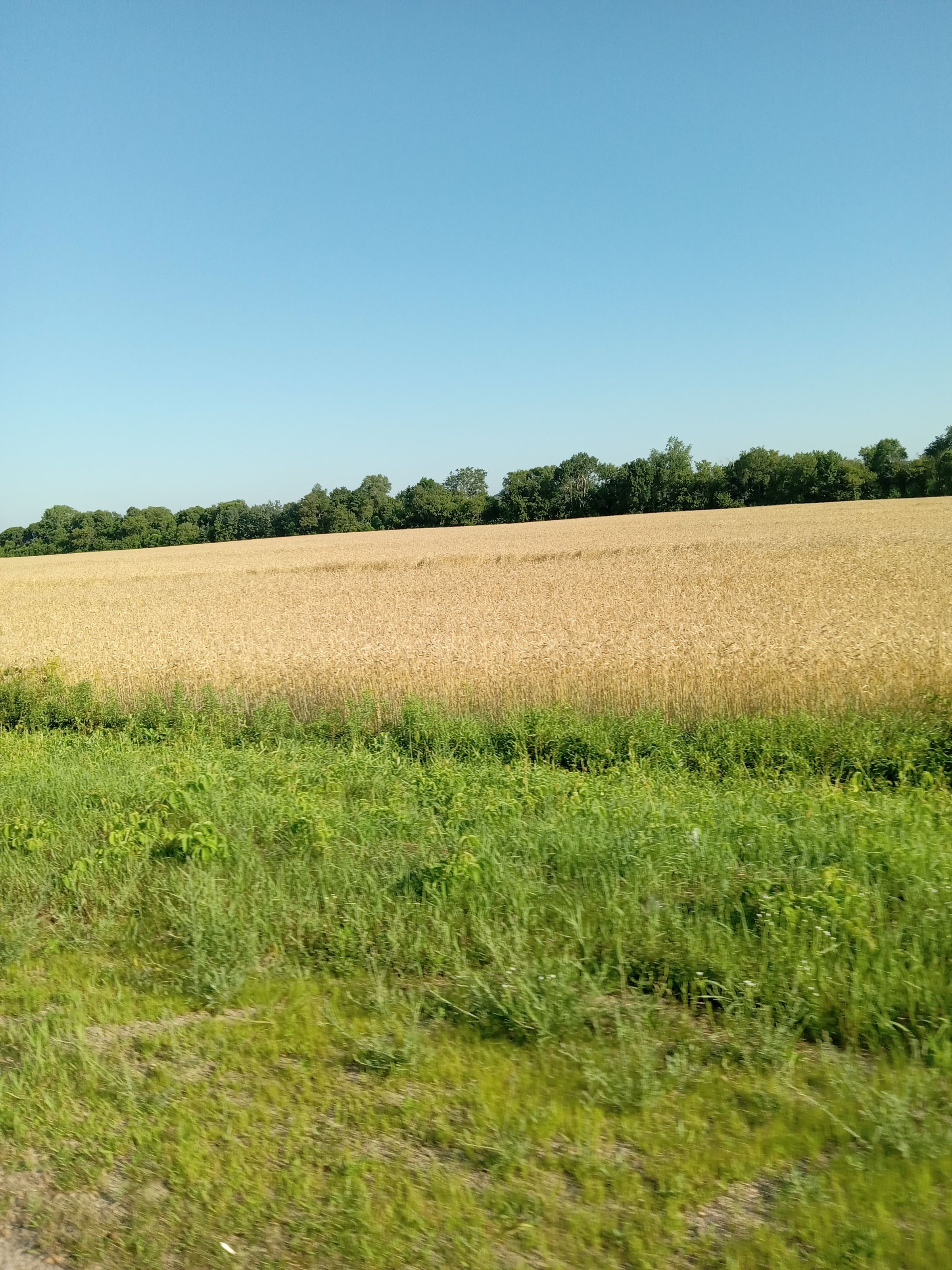 Serenity Farms 's image