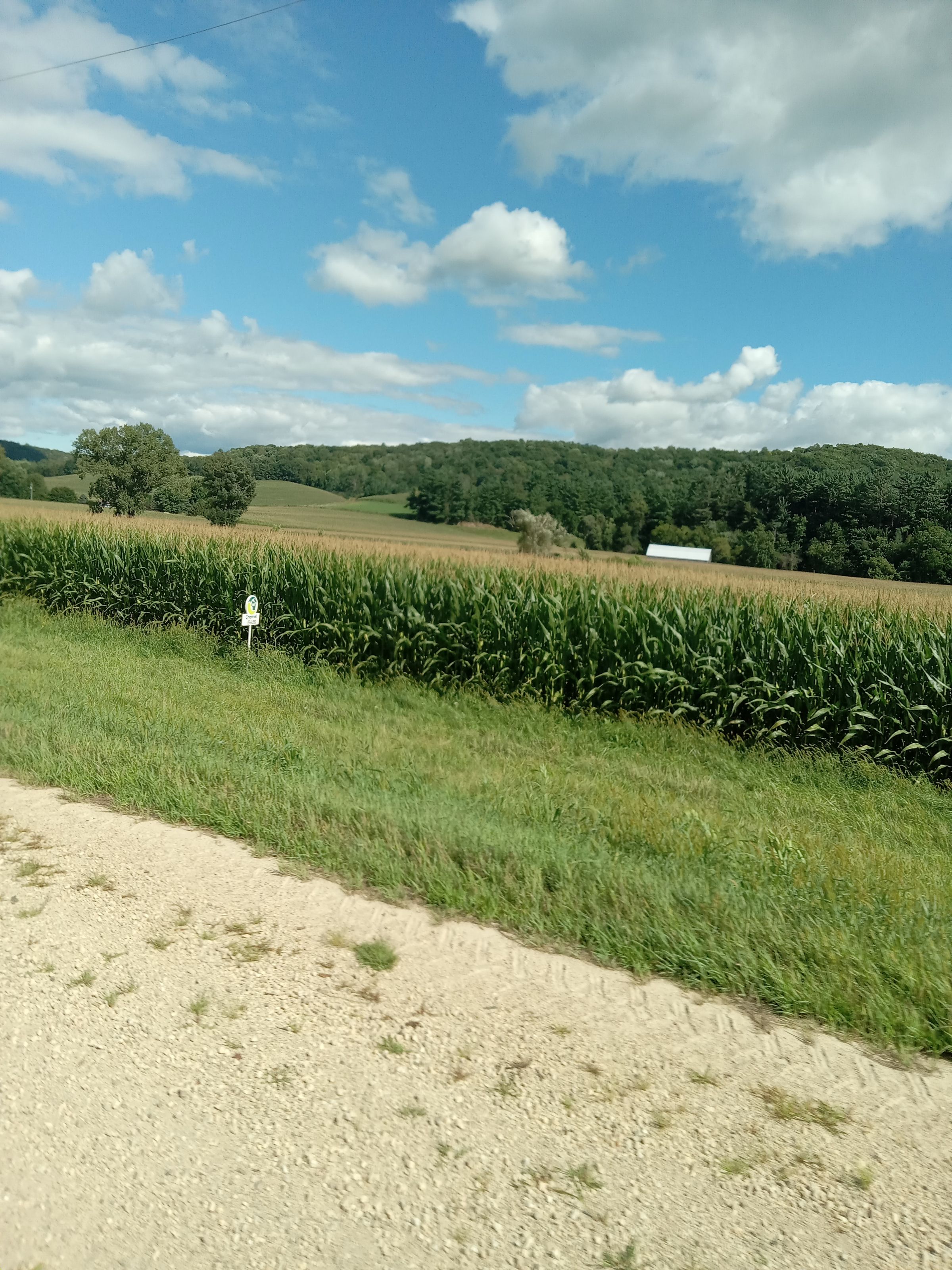 Driftless Wisconsin 