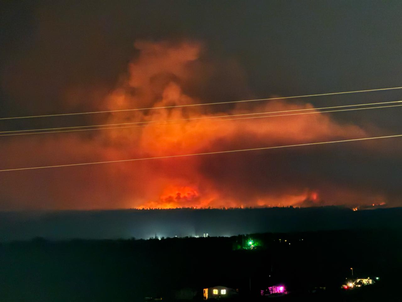 Operation Wild Step's image