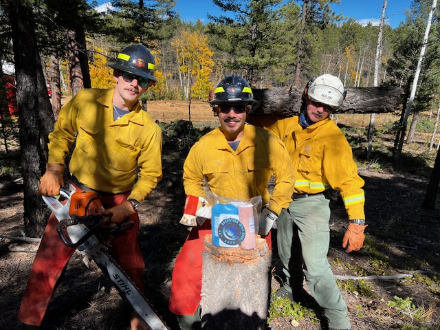 Operation Wild Step's image