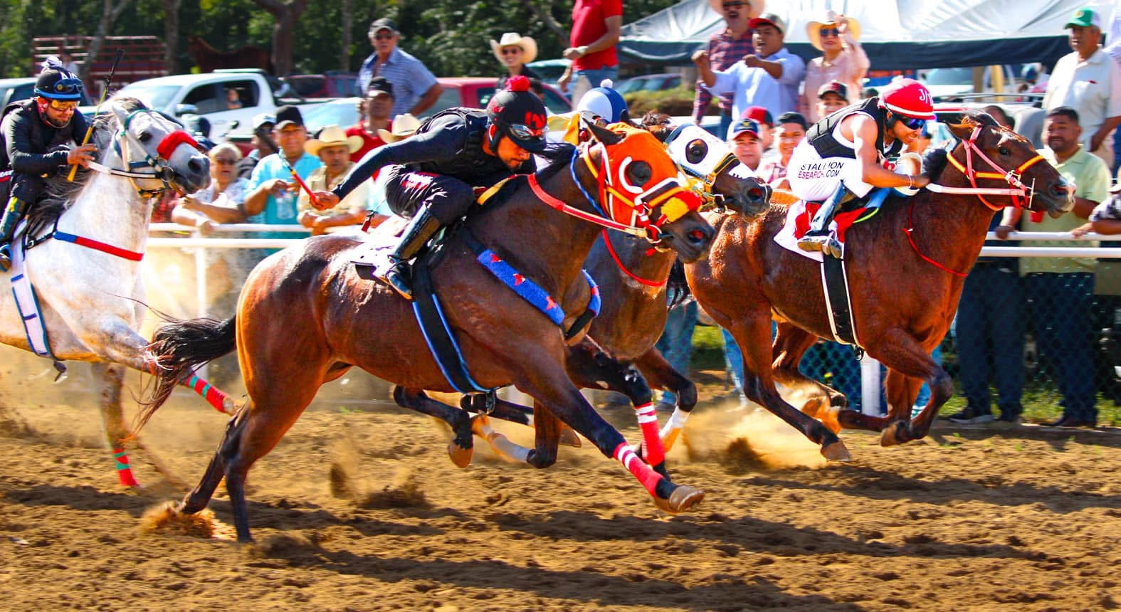 HIPICO EL TREBOL's image