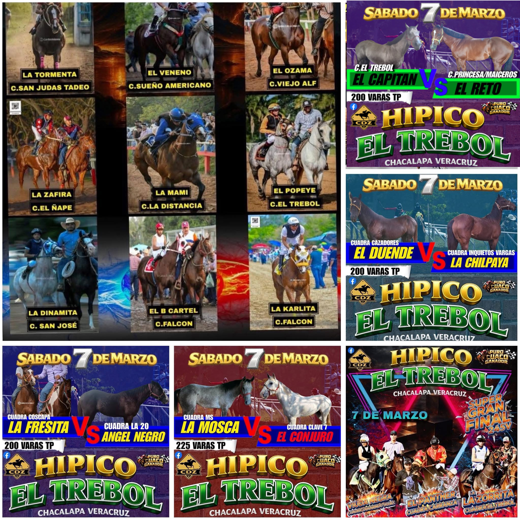 🏆COPA CASCO DE ORO🏇✅