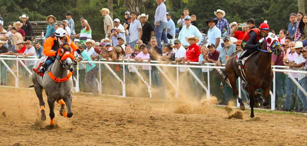 HIPICO EL TREBOL's image