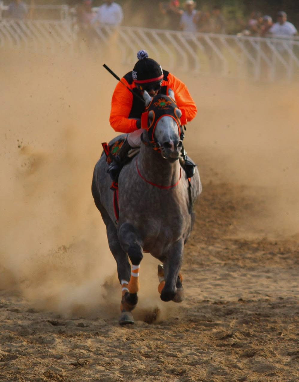 HIPICO EL TREBOL's image