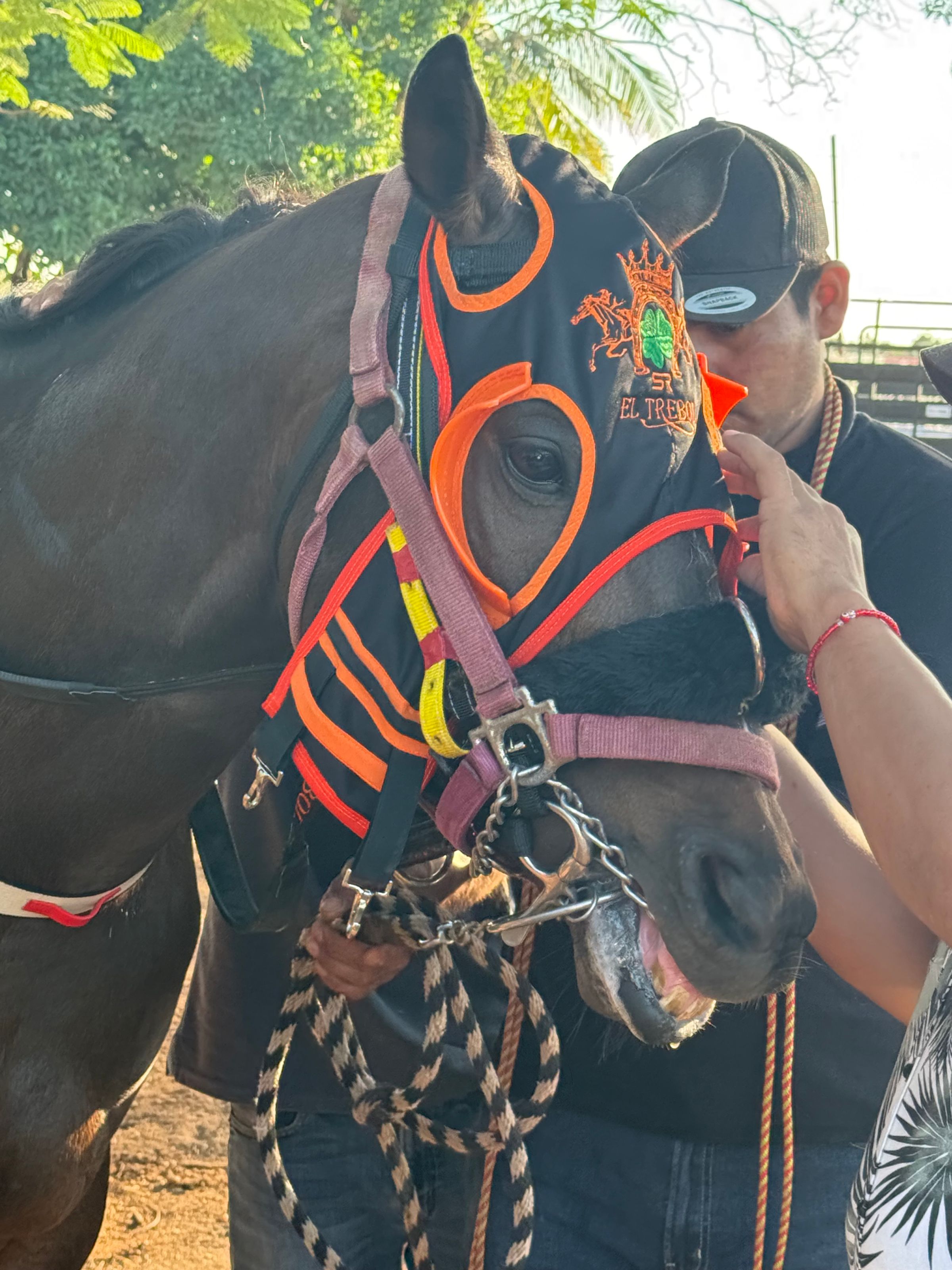 HIPICO EL TREBOL's image