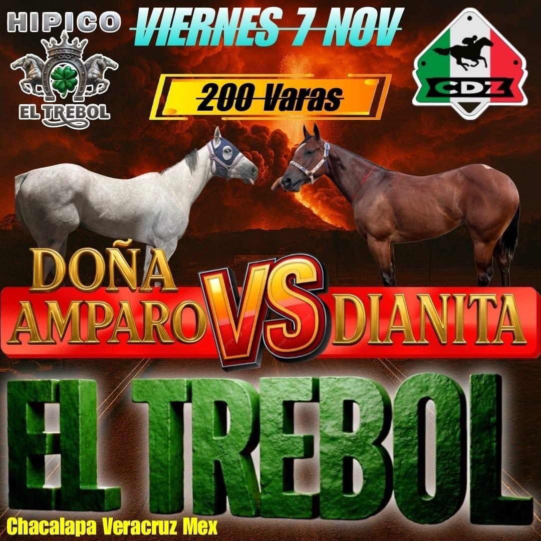 HIPICO EL TREBOL's image