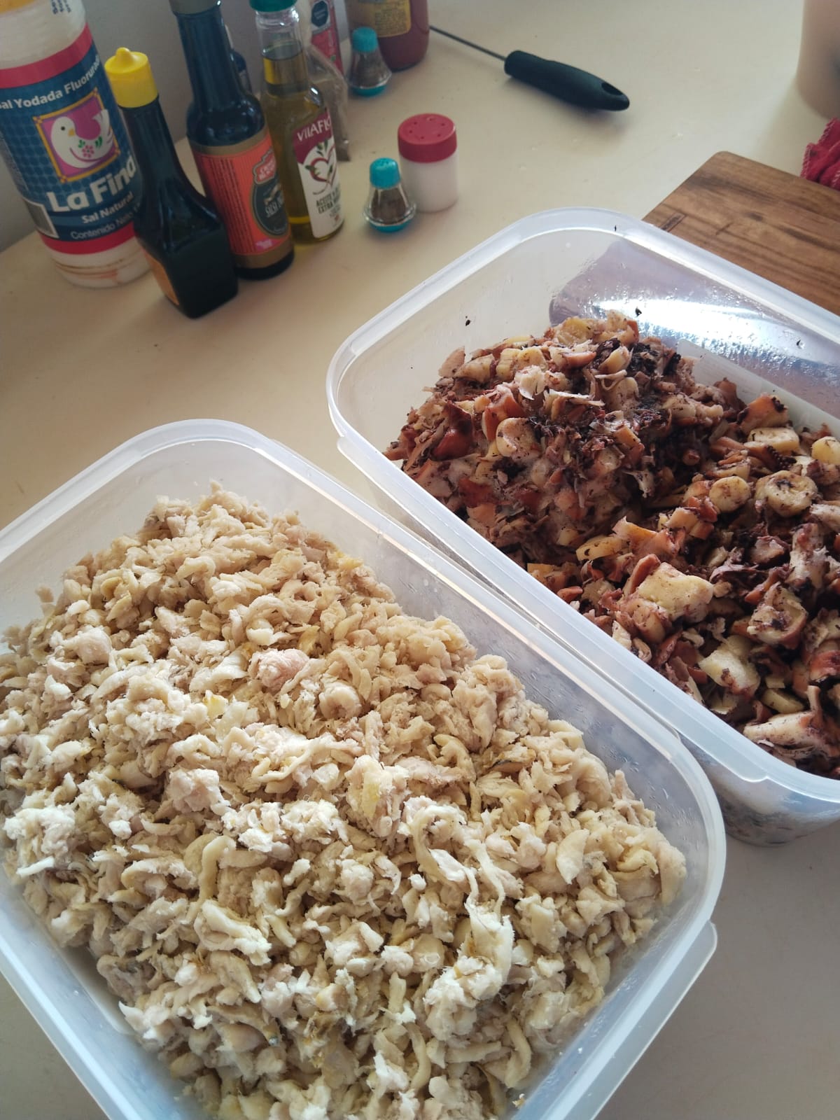 HIPICO EL TREBOL's image